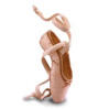 pointe shoe